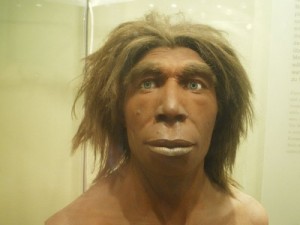 Create meme: modern man, the ancestors of modern man, homo neanderthalensis