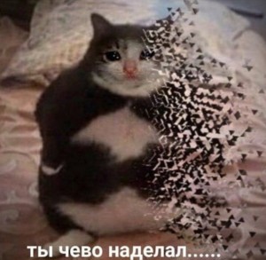 Создать мем: мемы, коты, ты что наделал мем с котом