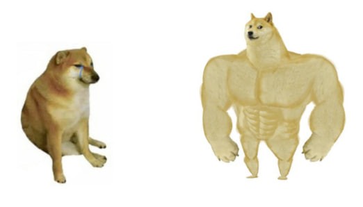 Create meme: dog Jock, inflated dog meme, doge Jock