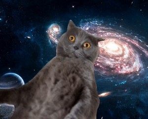 Create meme: in space, cats in space video, space cat gif
