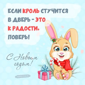 Создать мем: веселый кролик, поздравительные открытки, зайка