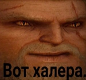 Создать мем: мемы, witcher meme, геральт зараза мем