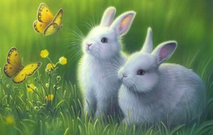 Создать мем: зайчиха с зайчатами иллюстрации, зайчик, картина зайчонок и бабочка