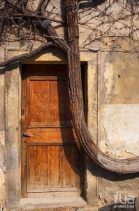 Создать мем: двери под старину из дерева, деревянные двери под старину, двери под старину