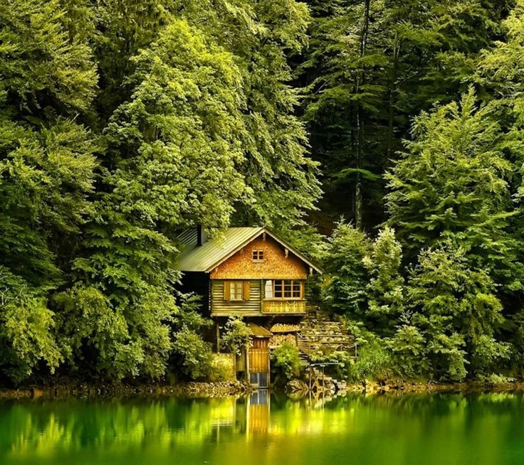 Создать мем: домик в лесу у реки, деревянный домик в лесу, дом в лесу у озера