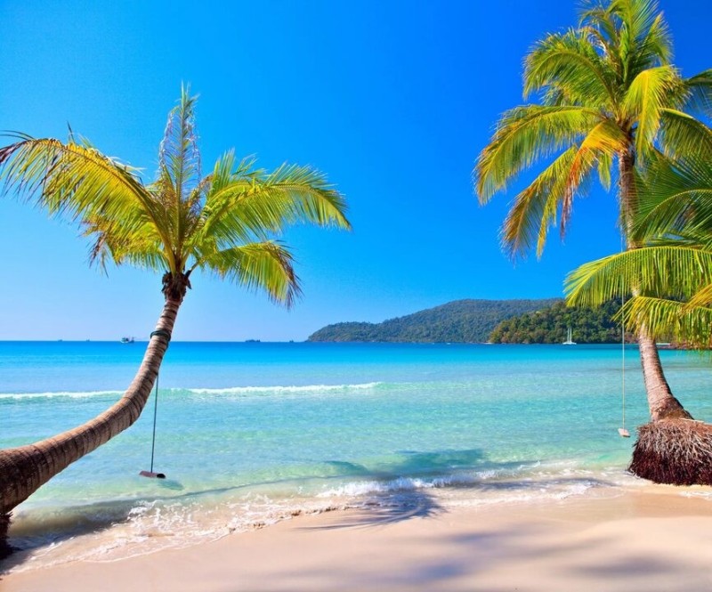 Create meme: sea sun palm trees, sea sun beach , the sea tropics