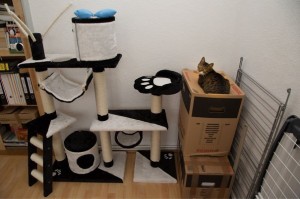Create meme: houses for cats with kittens, house cat scratching post, house cat
