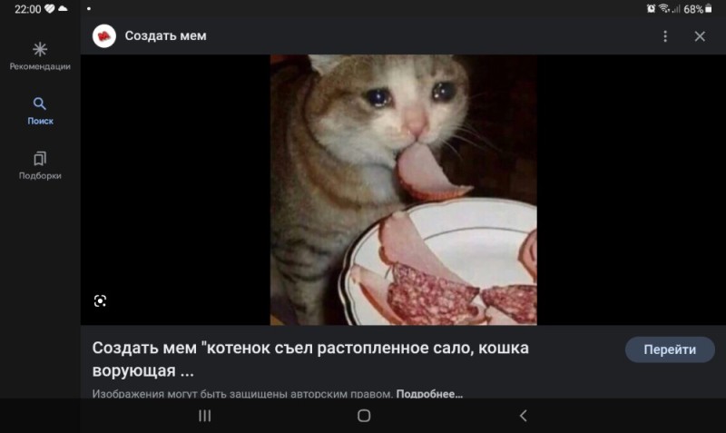Create meme: sad but tasty cat, cat meme , delicious meme with a cat