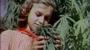 Create meme: Nina well done, this high hemp even the tops do not get it, hemp in the Soviet Union