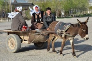 Создать мем: ишак арава, гужевая повозка, самарканд ишак повозка