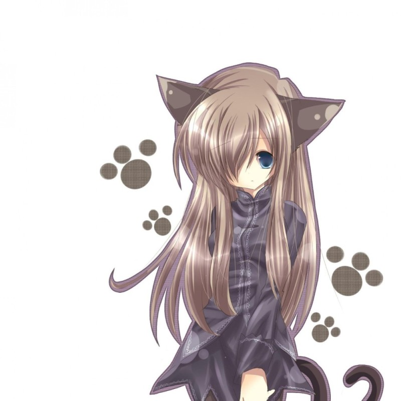 Create meme: anime cats, anime kitties, anime girls cats nyashki
