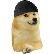 Создать мем: shiba inu, doge собака, сиба ину doge