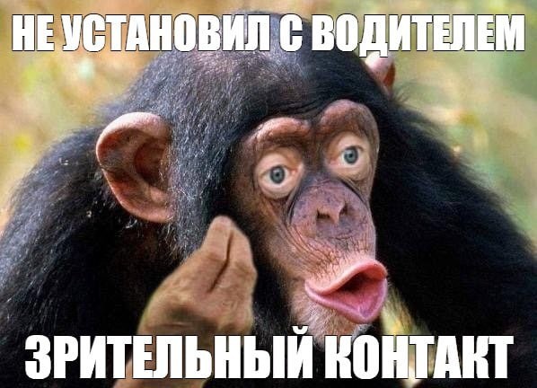 Create meme: male chimpanzees, male monkey, meme monkey 