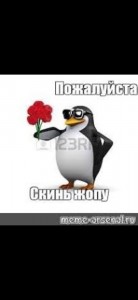 Create meme: penguin thank you meme, penguin with flower meme, penguin with flowers