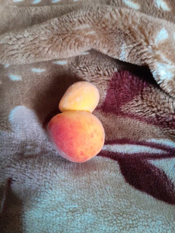 Создать мем: персик нектарин ананасный, сорт персика редхейвен, спелый персик