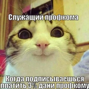 Create meme: Kotaku Ulybka, meme of Kotka Ulybka, cat
