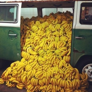 Create meme: banana Paradise, a lot of bananas
