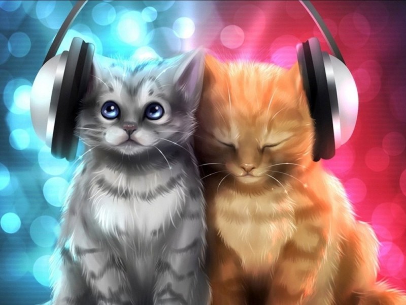 Create meme: cat with headphones, kitten art, cat with headphones