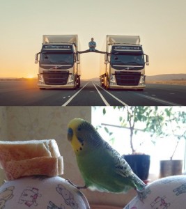 Create meme: Jean Claude Vandam truck, van Damme do a split on the trucks, Jean-Claude van trucks