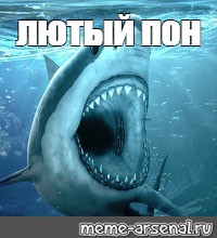 Создать мем: null