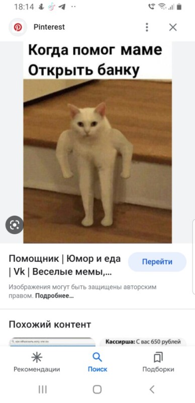 Создать мем: мемы, кот силач мем, удоли мемы кот