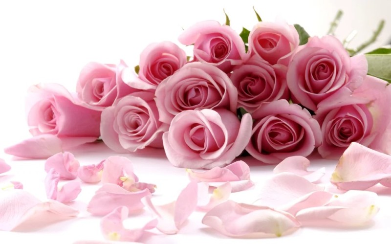 Создать мем: цветы розы, поздравление цветы для женщины, красивые цветы открытки