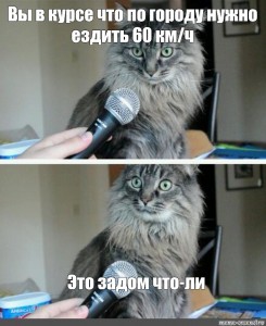Создать мем: кот кот, мем кот с микрофоном, кот мем