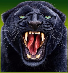 Create meme: Black Panther, Panther, the Panther's eyes the grin