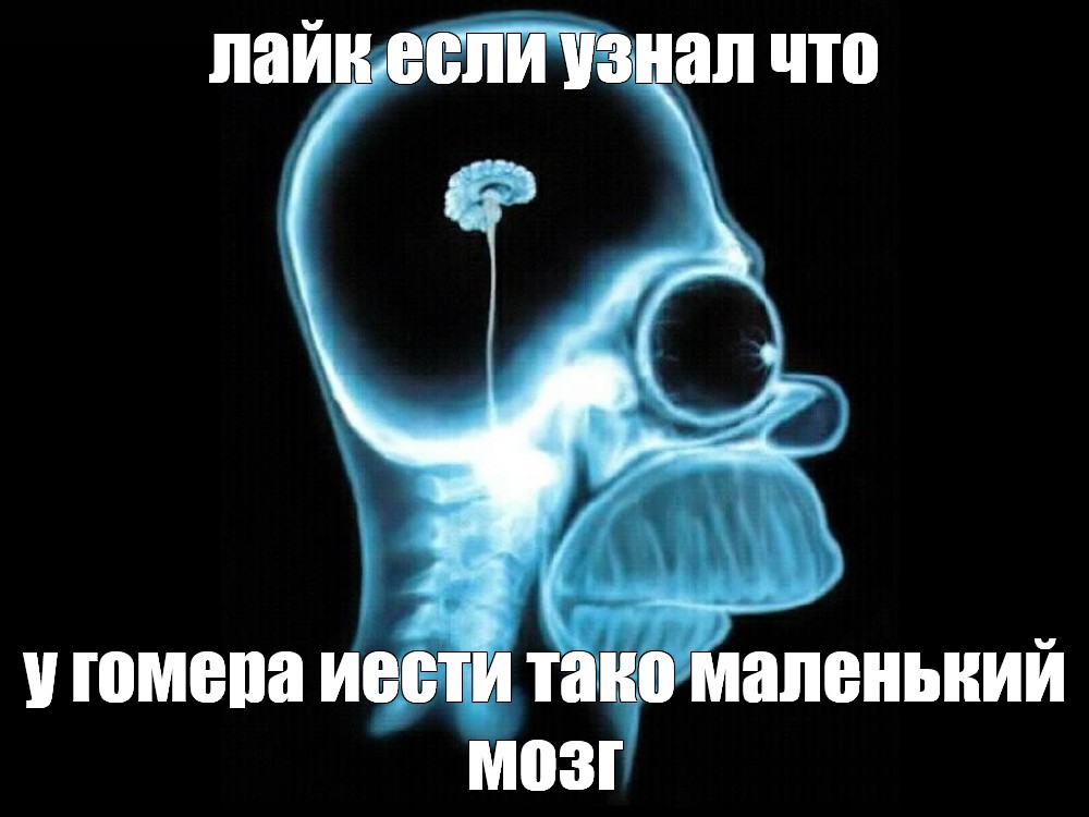 Copy link. #brain Homer Simpson x-ray. adding more text - click any point o...