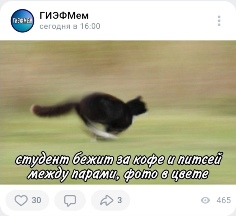Создать мем: прыжок кошки, летящий кот, кошка