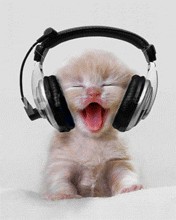 Create meme: funny sounds, headphones, love cat