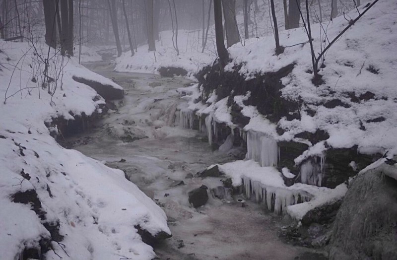 Create meme: winter waterfall, Frozen waterfalls park switzerland, The cold forest