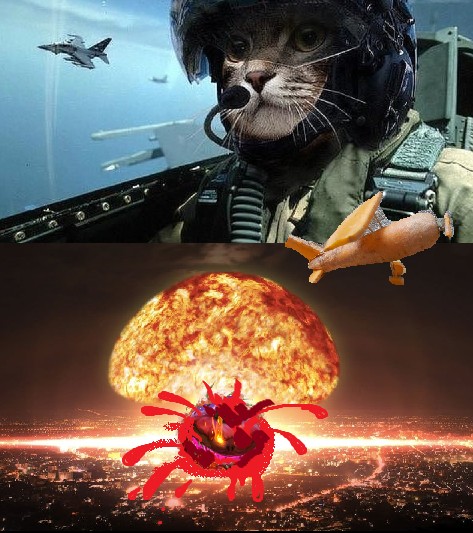 Создать мем: 2019 г, ядерный взрыв, кот кошка