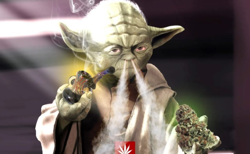 Create meme: star wars Yoda, master Yoda jokes, star wars food