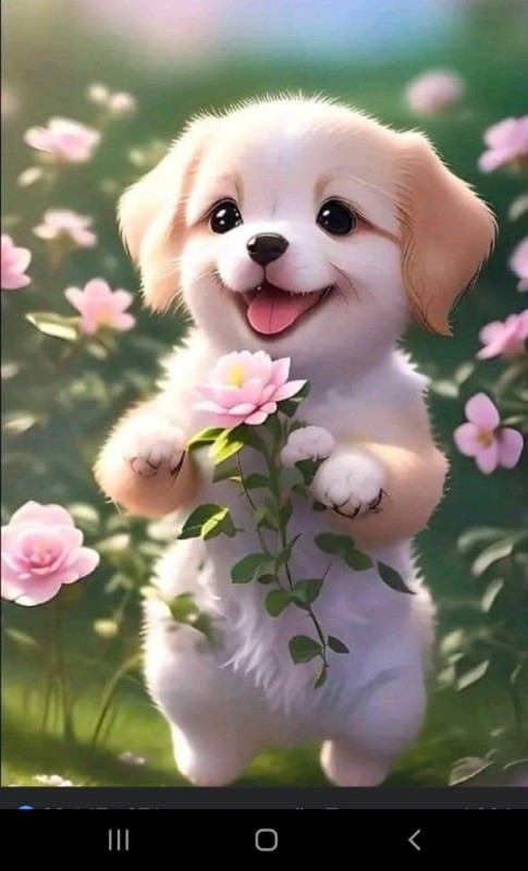 Create meme: smile postcard, beautiful cards with dogs, puppies are cute