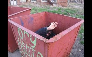 Create meme: homeless, container for solid waste, dumpster
