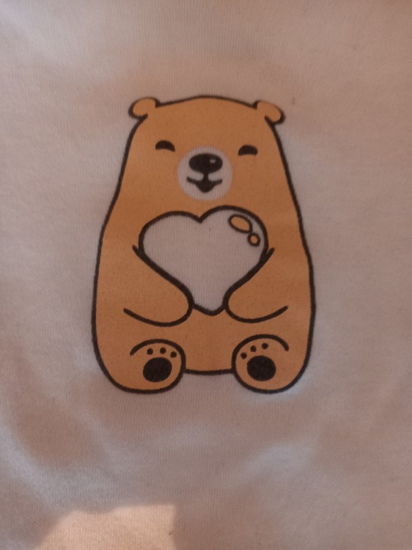 Create meme: bear , cute bear, a bear cub for drawing