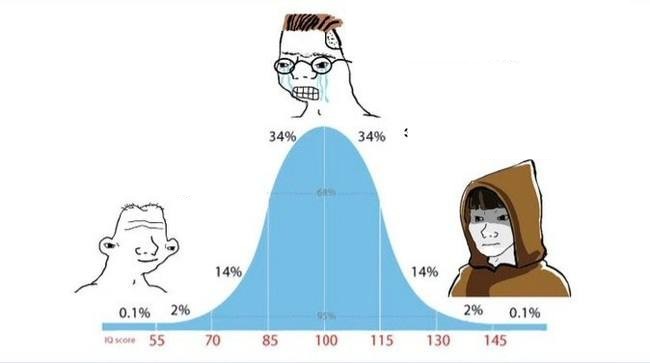 Create meme: memes , normal distribution, normal distribution of memes