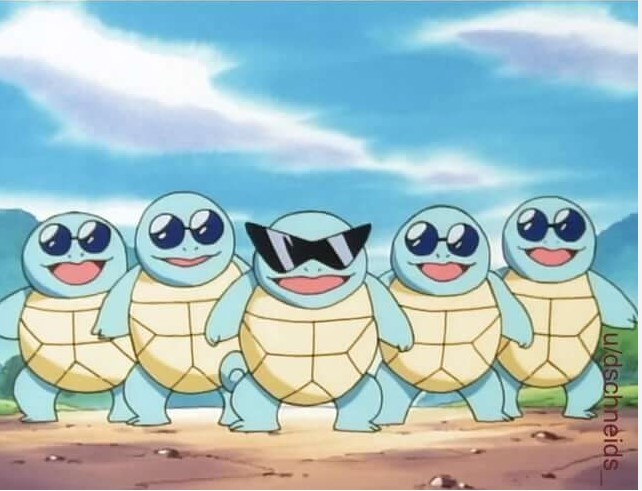 Create meme: pokemon , squirtle gang, CA 