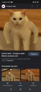 Создать мем: белый кот качок, кот мем мем, кот с руками мем