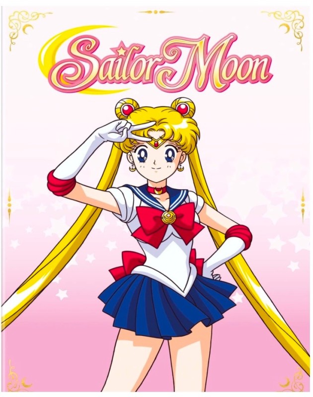 Create meme: manga sailor moon, sailor venus, sailor moon