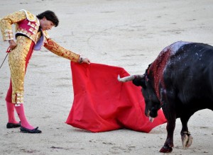 Create meme: Spanish bullfight, toreador, bullfighting