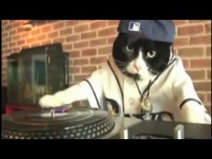 Create meme: Cat rapper 