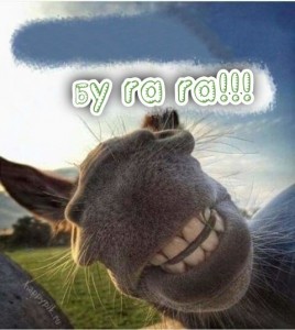 Создать мем: животные смешные, смешные лошади, улыбающиеся животные