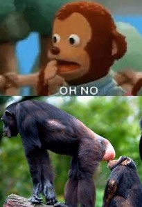 Создать мем: мем обезьяна, плюшевая обезьяна мем, самец шимпанзе
