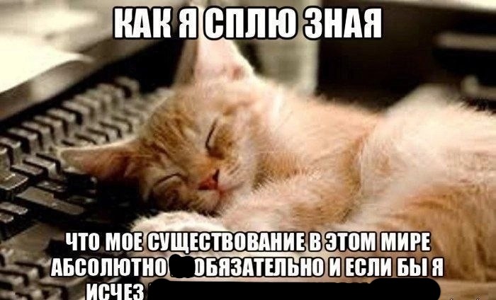 Create meme: The red-haired cat wishes good night, sleeping cat , kitten good night