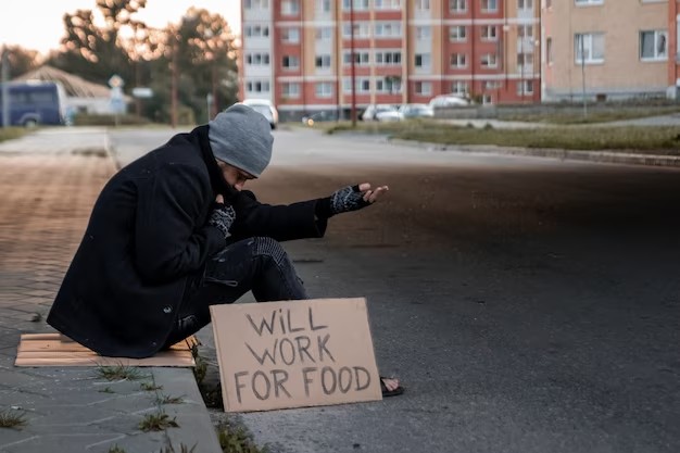 Создать мем: will work for food лягушка реклама, homelessness, homeless