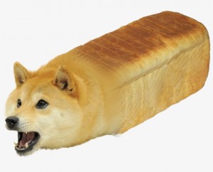 Create meme: Shiba inu, Shiba inu doge