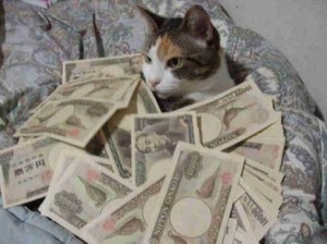 Создать мем: смешные коты с деньгами, кот и деньги, кошка с деньгами