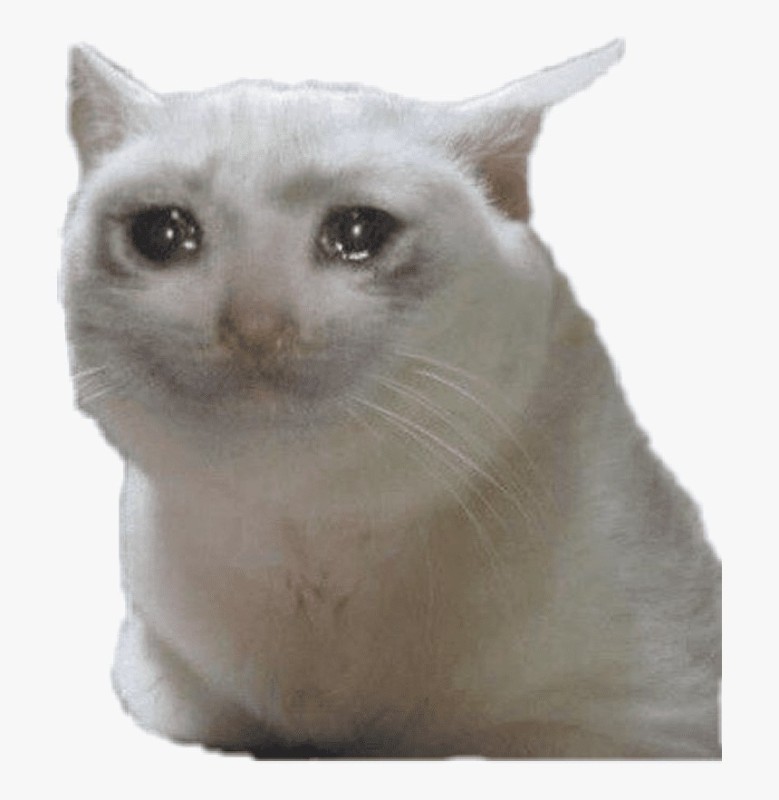 Создать мем: плачущие коты, белый кот мем, cat cry